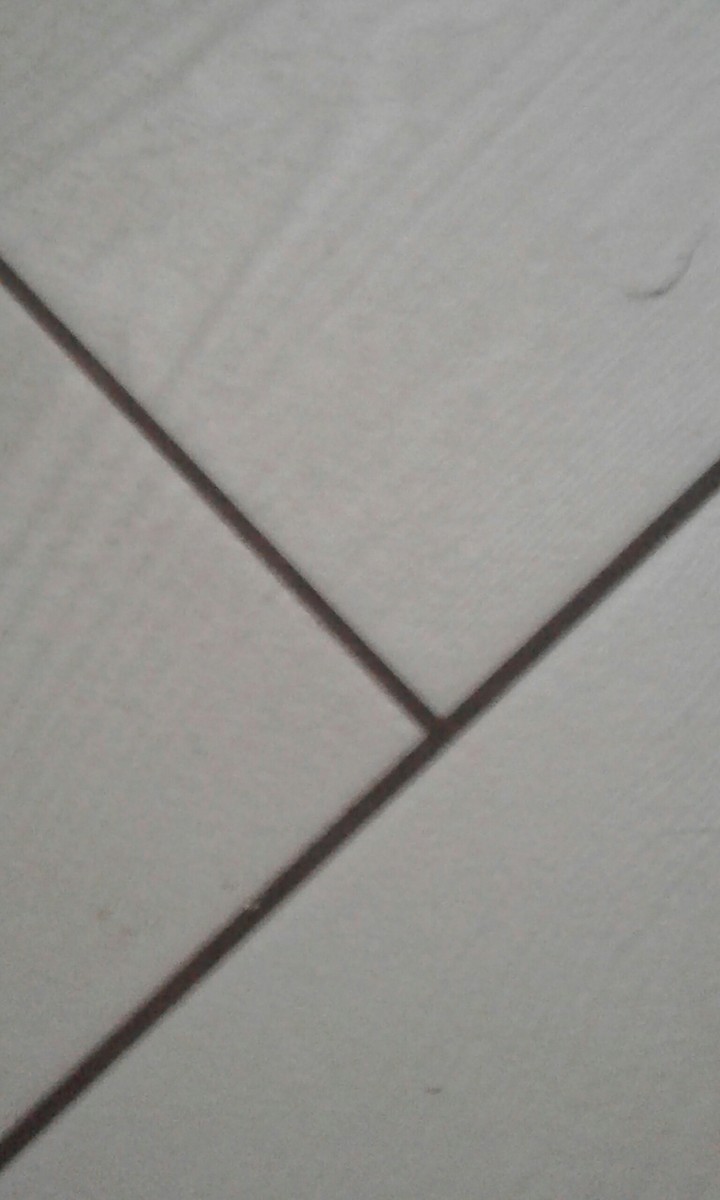 wall or floor?
