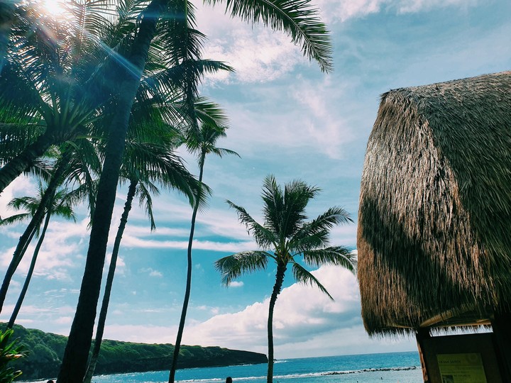 Hawaii life