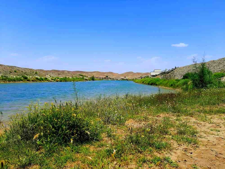 my village