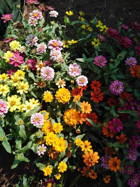 colourful