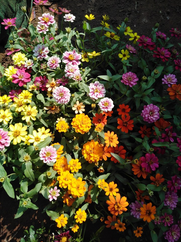 colourful