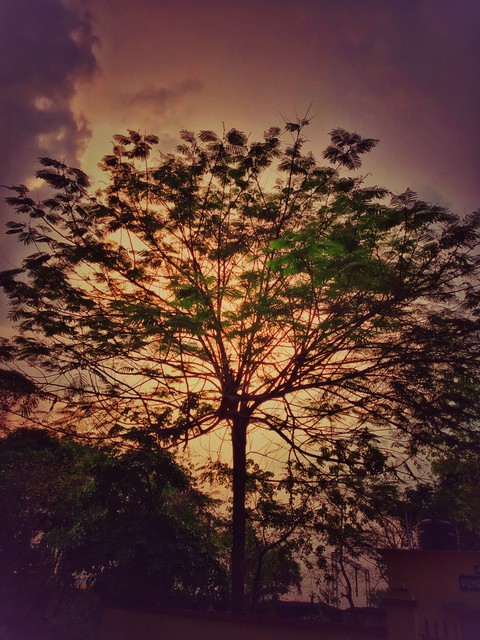 dusk