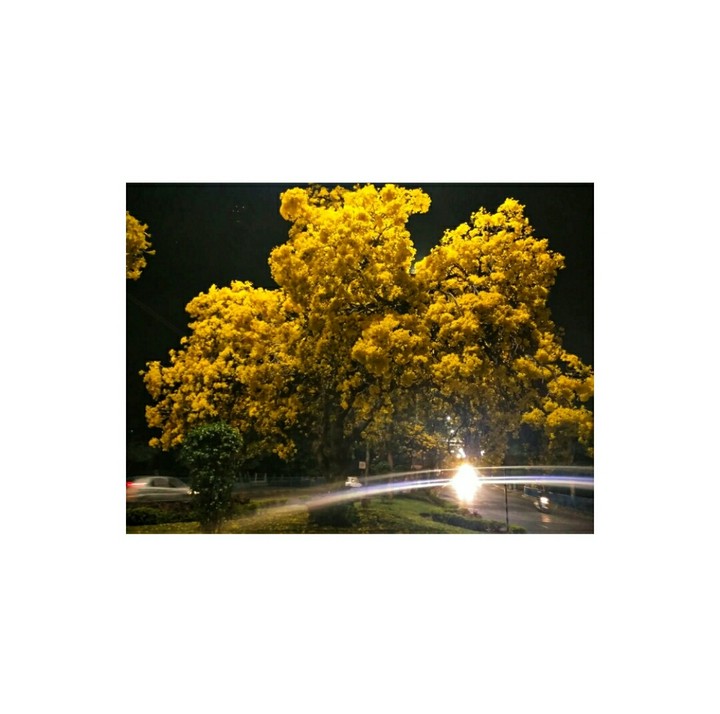 night and light ...wonderfull combination