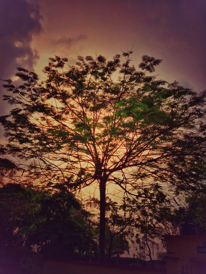 dusk