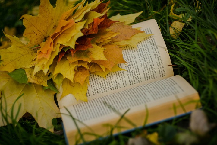 autumn