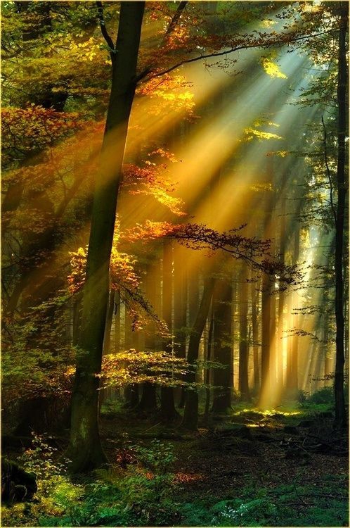 nature