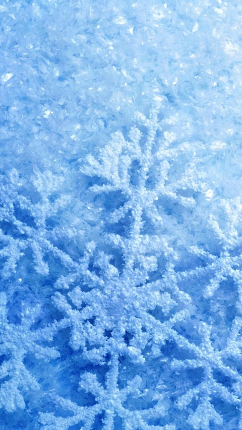 snow, wonder वॉलपेपर