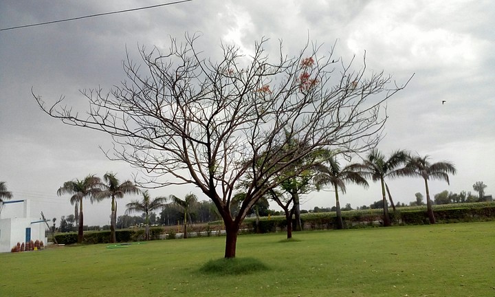 thunderstorm
