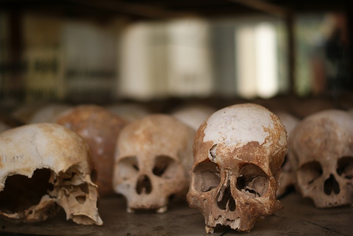 Human Skeleton