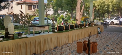wood, plant duvar kağıtları