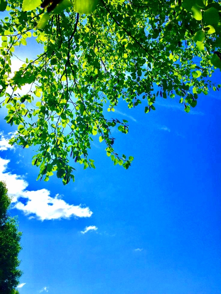 ♥️