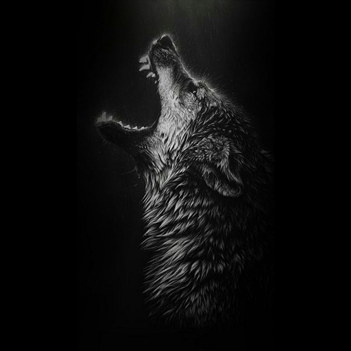 wolf