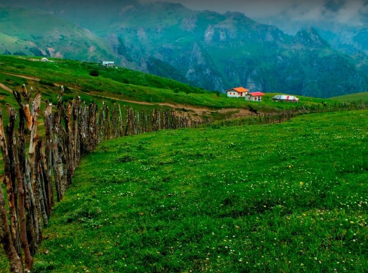 Talesh