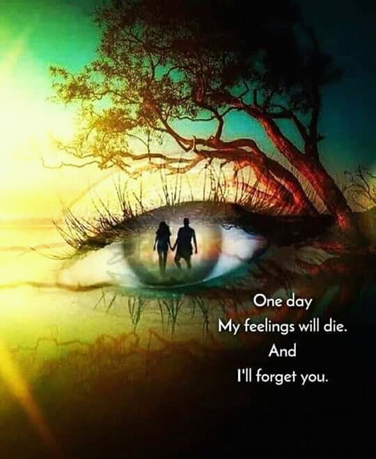 Quote