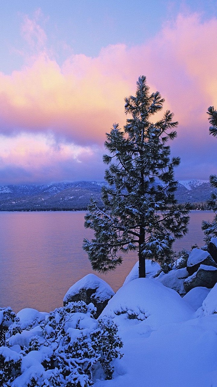 Winters arrived