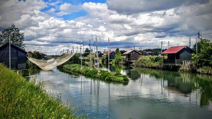 Cesena