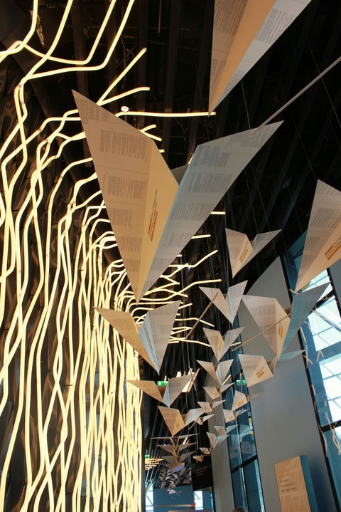 paper airplanes