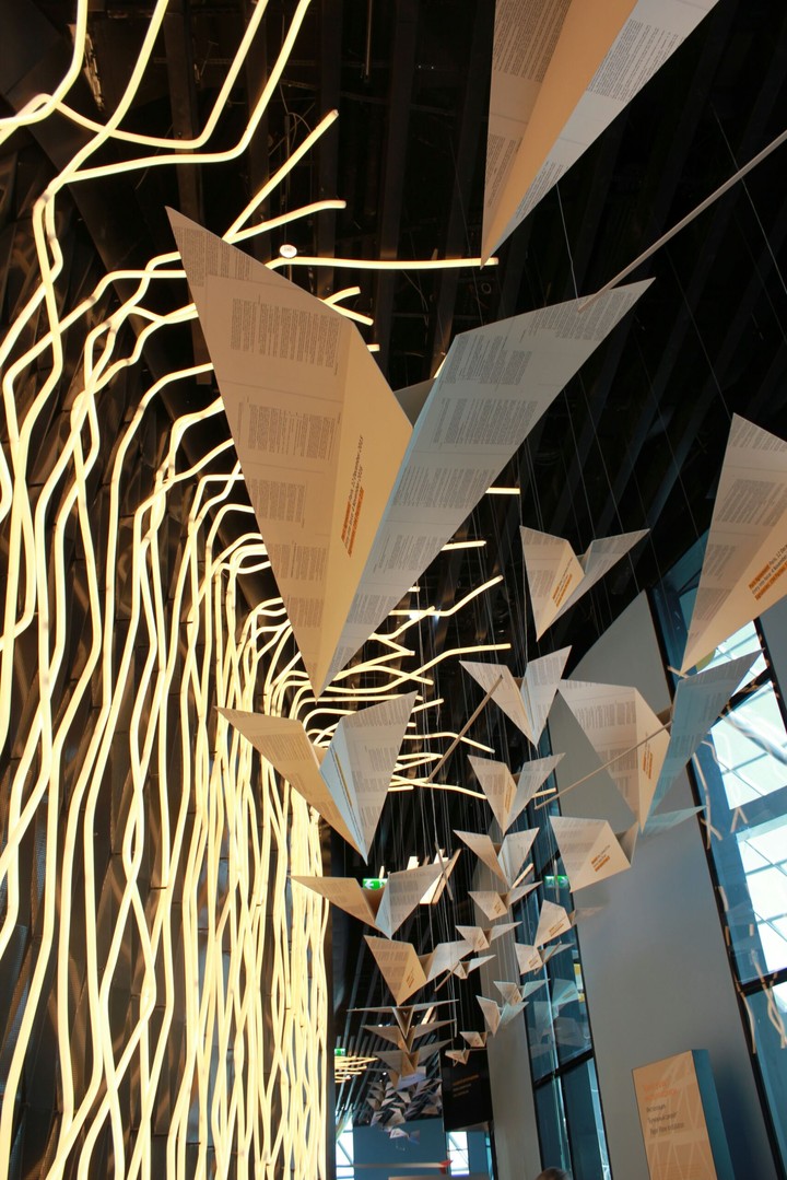 paper airplanes