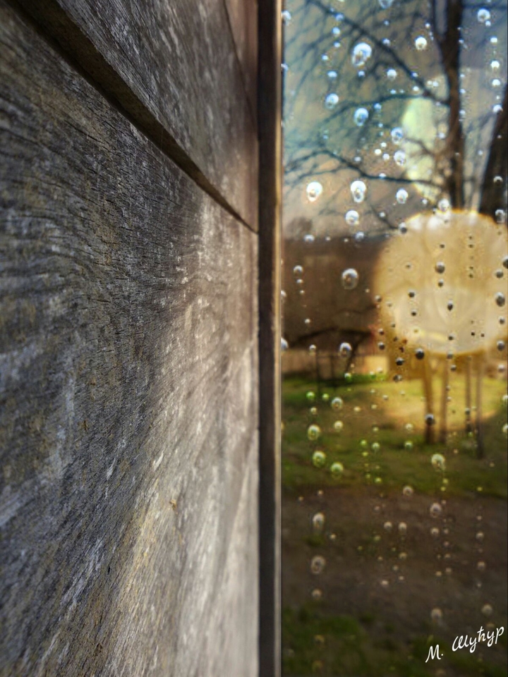Wood wall