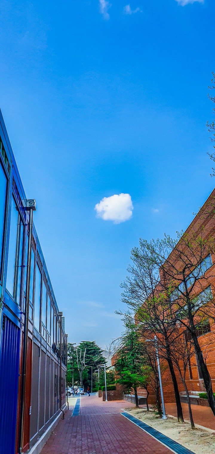 Blue sky