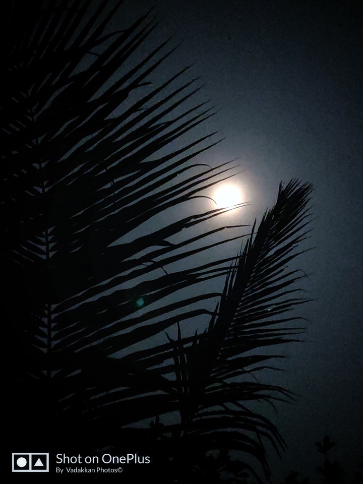 good night
