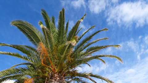 Kreta 2014