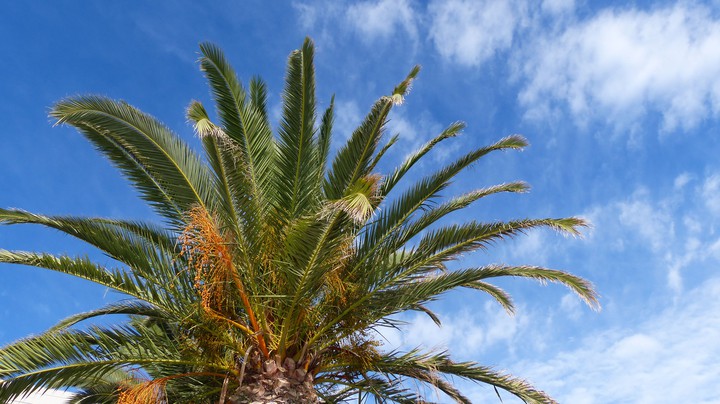 Kreta 2014