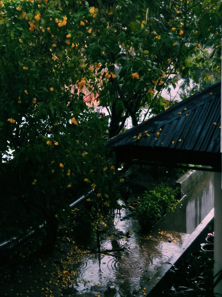 Spring Rain