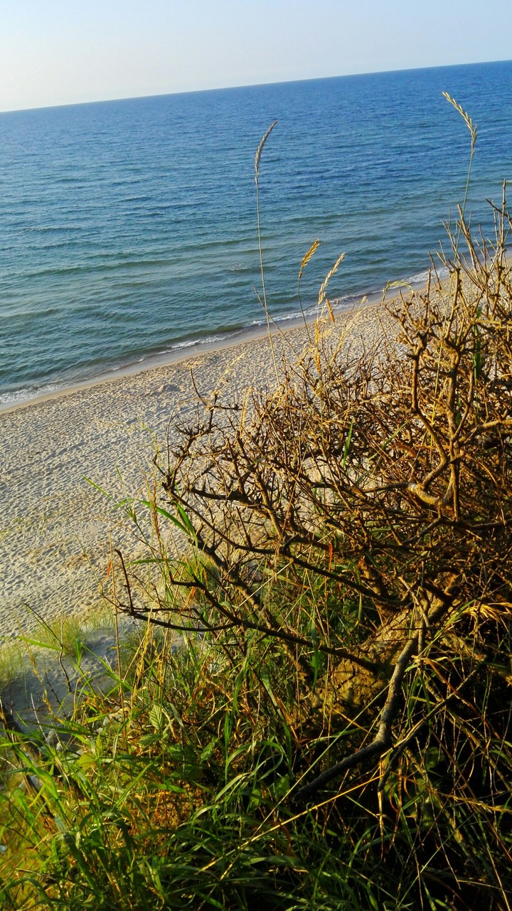 summer