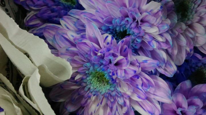 purple flowers