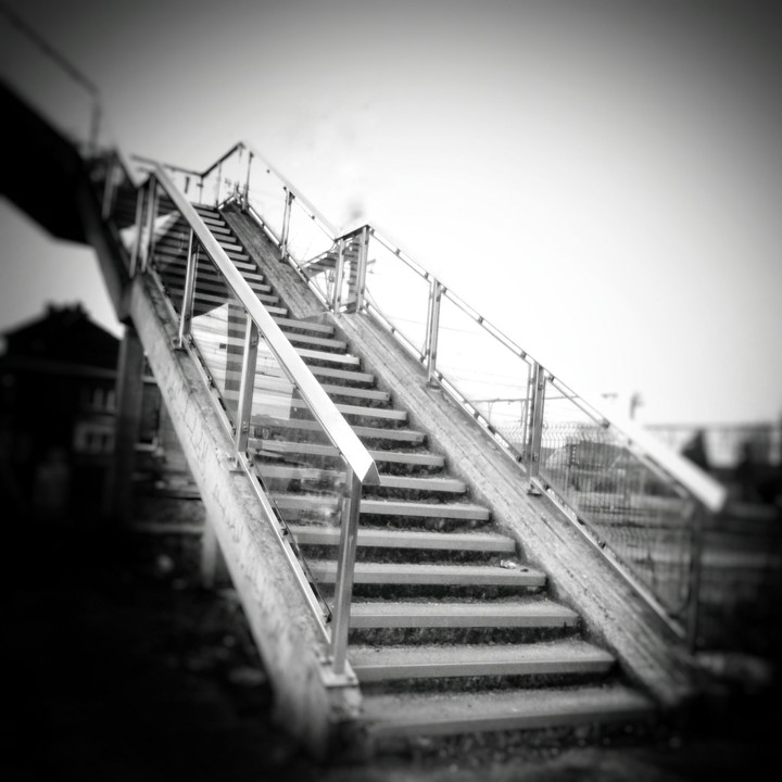 bridge