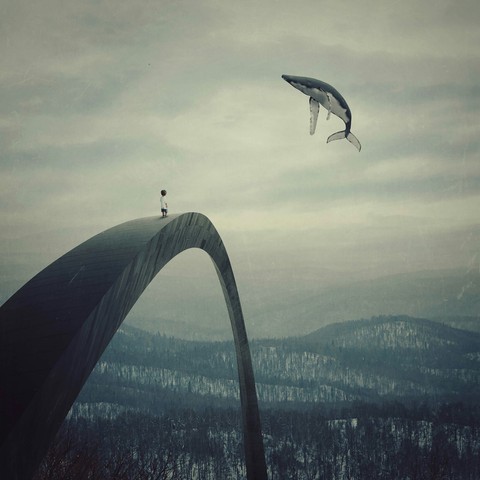 wing, windsports duvar kağıtları
