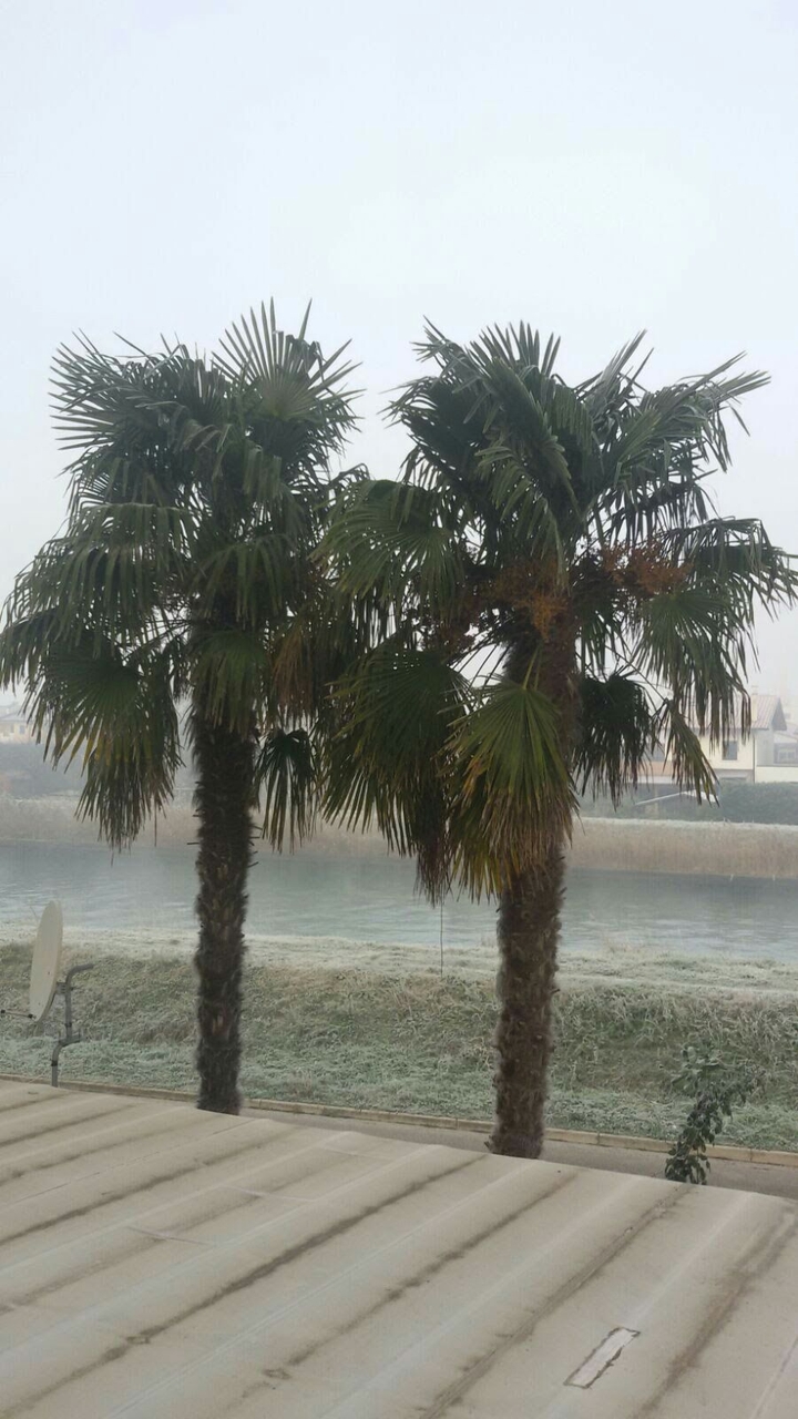 mare a Caorle