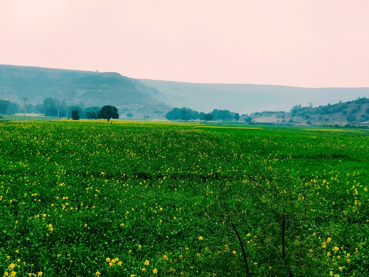 Agriculture is a way of life