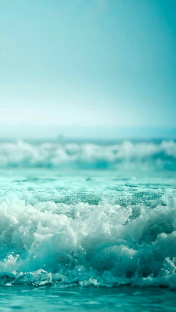 sea ​​/ summer || море / лето