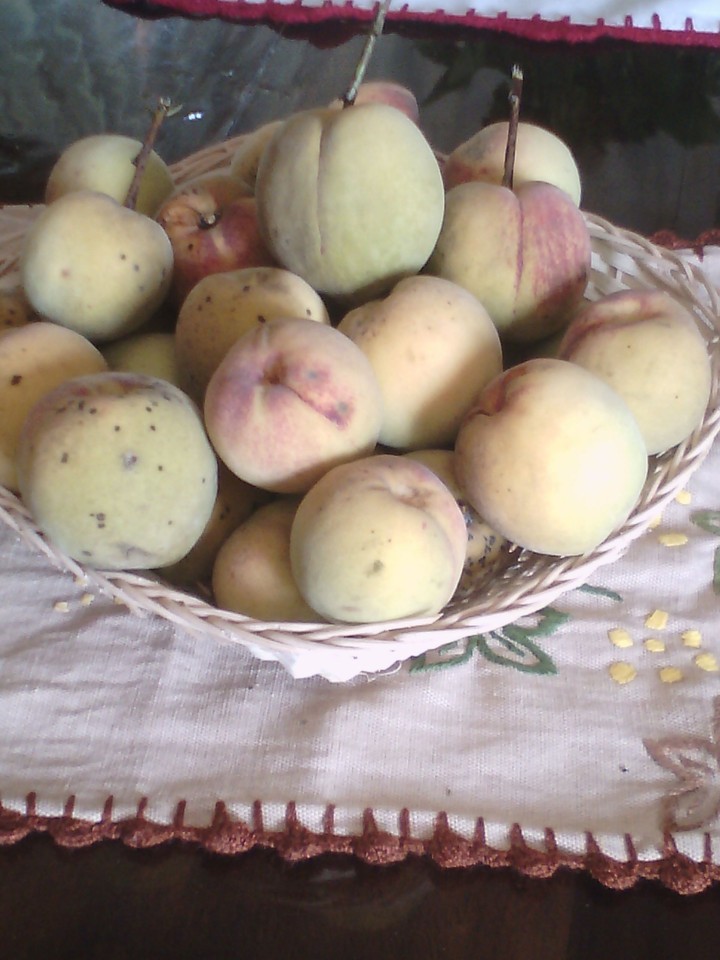 frutero