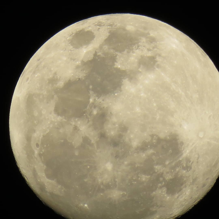 Moom 