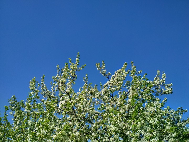 blue skies