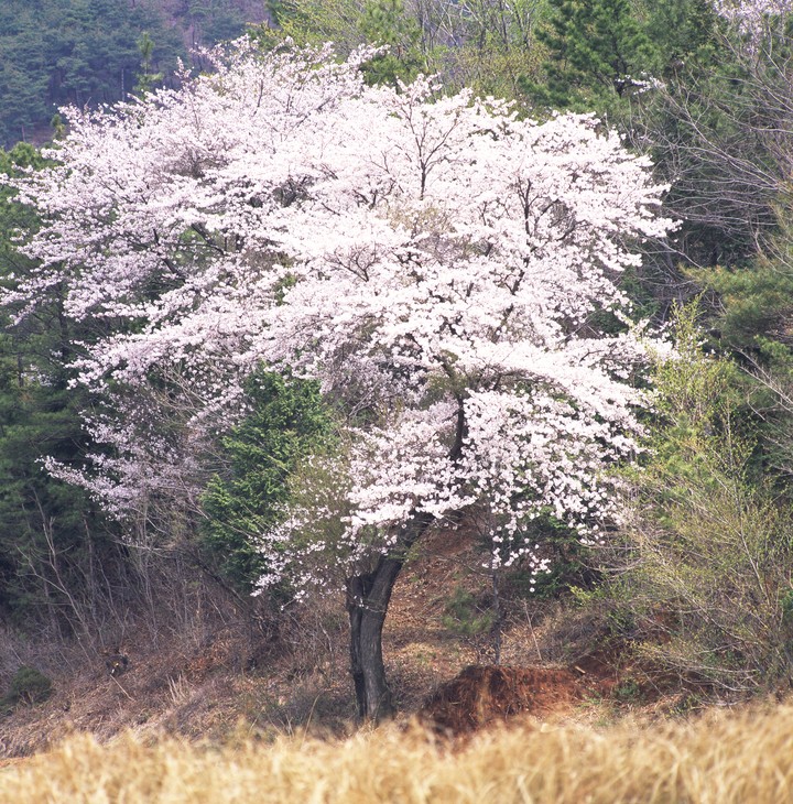 풍경이미지