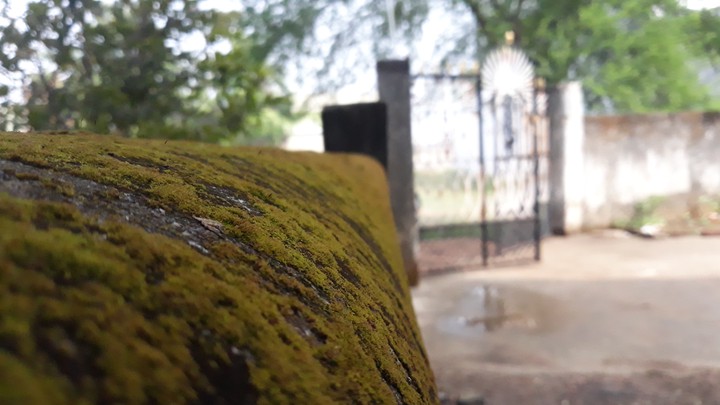 TRIP_00_GRAPHY