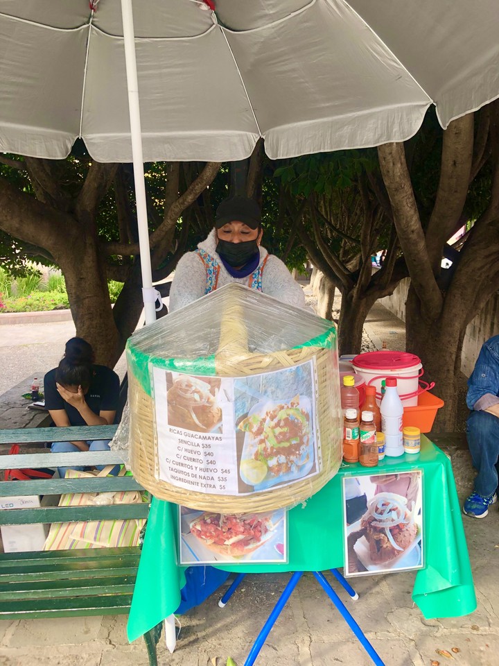 Puesto de Guacamayas
