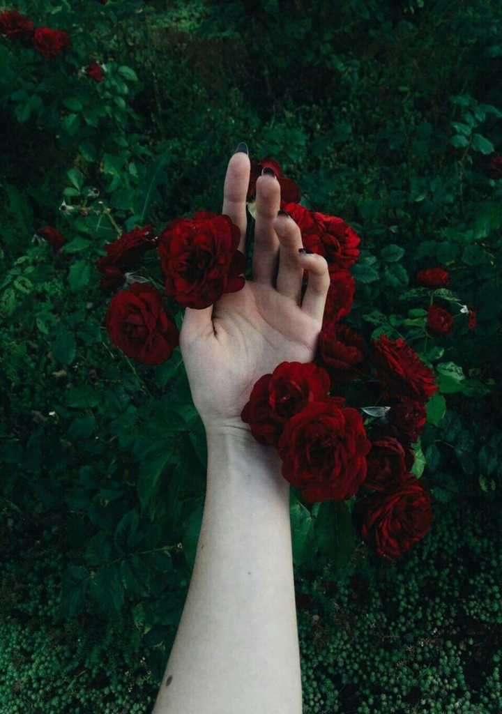 ∆