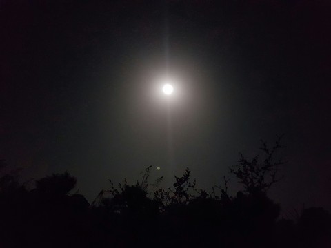 moon