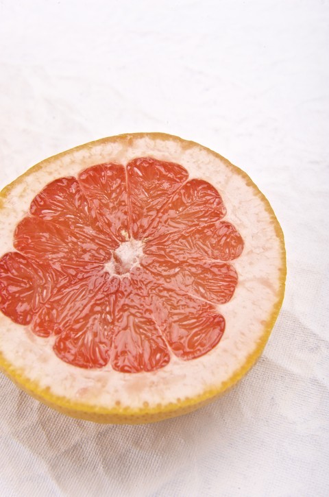 fruit
