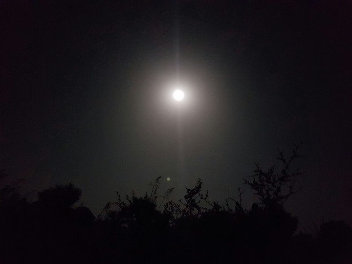 moon