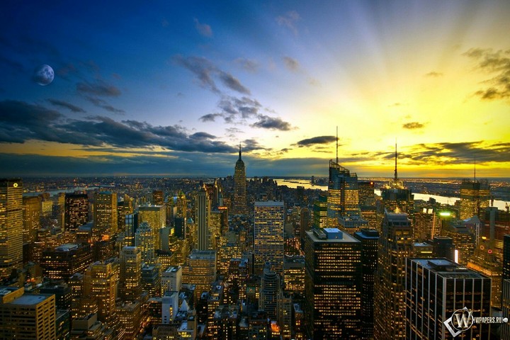 new york life
