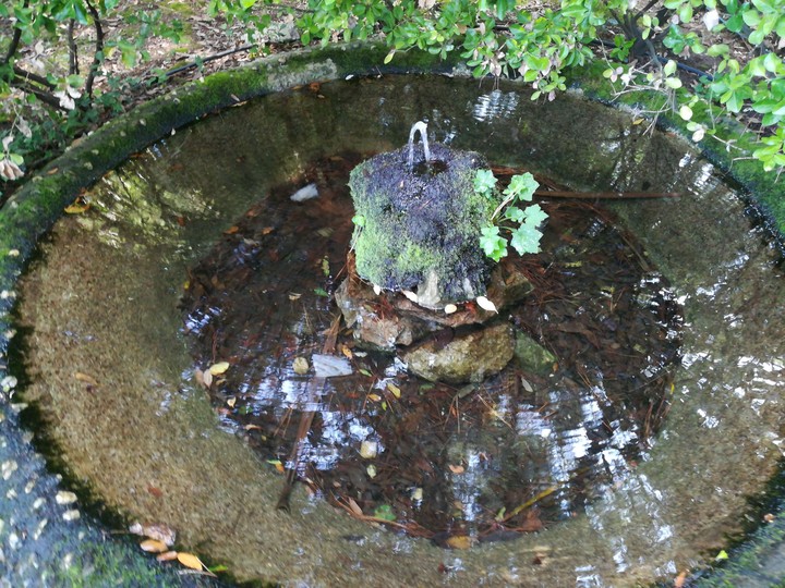 la fontana della villa