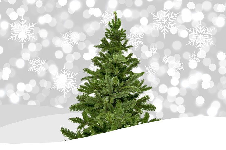 Happy christmas to all in advance