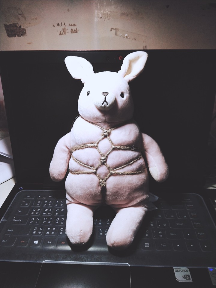 Happy Rabbit
