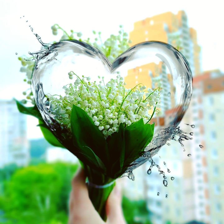 Spring flowers